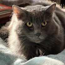 Thumbnail photo of Falin (with Hannah) #1