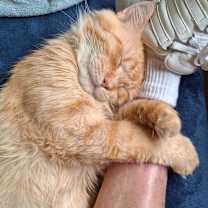 Thumbnail photo of Fred #3