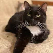 Thumbnail photo of Gumdrop #1