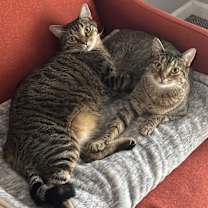 Thumbnail photo of Zack #4