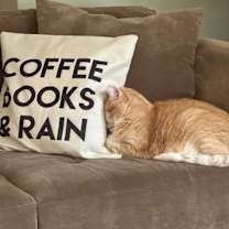 Thumbnail photo of Izzy #2