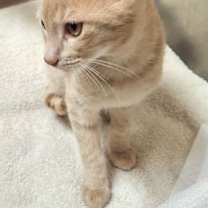 Thumbnail photo of Sawyer #3