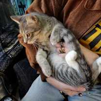 Thumbnail photo of Max #2