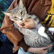 Thumbnail photo of Max #3