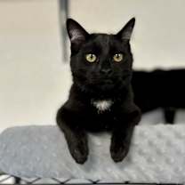 Thumbnail photo of Spot #4