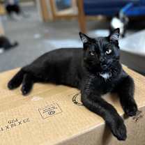 Thumbnail photo of Spot #1