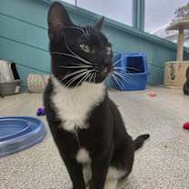 Thumbnail photo of Lumi #1