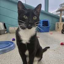 Thumbnail photo of Lumi #2