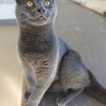 Thumbnail photo of MaryAnn #1