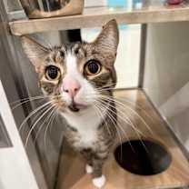 Thumbnail photo of Gus #2