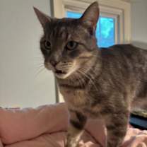 Thumbnail photo of Edwin #1