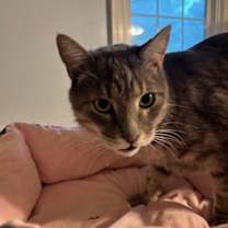 Thumbnail photo of Edwin #2