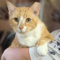 Thumbnail photo of Zion #1