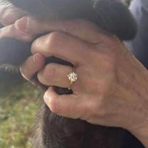 Thumbnail photo of Asa #2