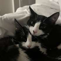 Thumbnail photo of Avon & Nova #1