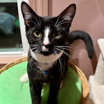 Thumbnail photo of Melvin #2