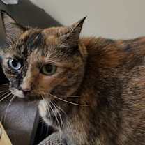 Thumbnail photo of Lucy #1