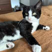 Thumbnail photo of Strewth #1