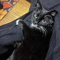 Thumbnail photo of Ghost #1