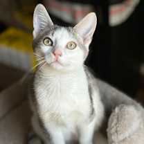 Thumbnail photo of Thumper #2