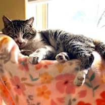 Thumbnail photo of Nico #4