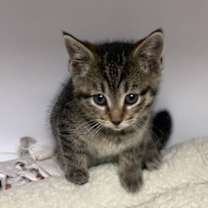 Thumbnail photo of Fiona #4