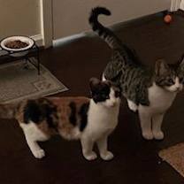 Thumbnail photo of Ivan #4