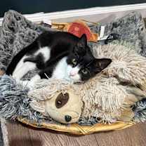 Thumbnail photo of Gwen #2