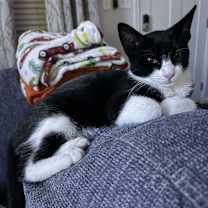 Thumbnail photo of Gwen #3