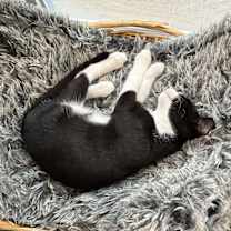 Thumbnail photo of Gwen #4