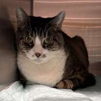 Thumbnail photo of Ralph #1