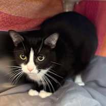 Thumbnail photo of Makayla #3