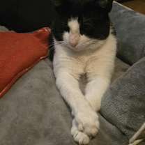 Thumbnail photo of Davis #1