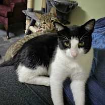 Thumbnail photo of Davis #2