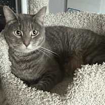 Thumbnail photo of Lars #1