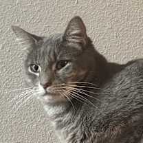 Thumbnail photo of Lars #4