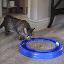 Thumbnail photo of Shadow #3