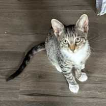 Thumbnail photo of Helly R #3