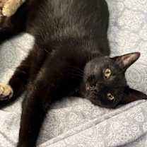 Thumbnail photo of Nellie #1