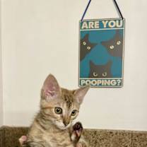 Thumbnail photo of ESTELLA, CARMELA & GABRIELA #3