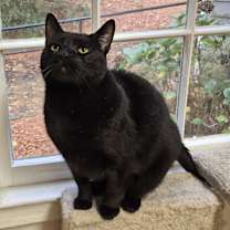 Thumbnail photo of Monroe #3