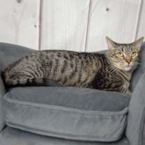 Thumbnail photo of Cleopatra #2