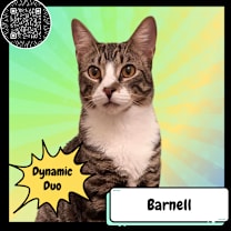 Thumbnail photo of Barney & Angel #1