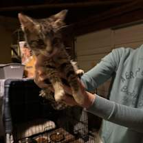 Thumbnail photo of Barney & Angel #3