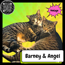 Thumbnail photo of Barney & Angel #4