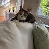 Thumbnail photo of Peaches #2