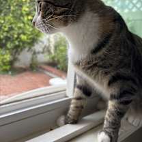 Thumbnail photo of Peaches #3