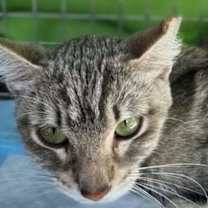 Thumbnail photo of Hope #3