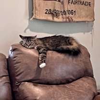 Thumbnail photo of Lil’ Bit #2