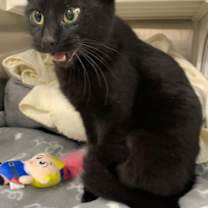 Thumbnail photo of Effie #1